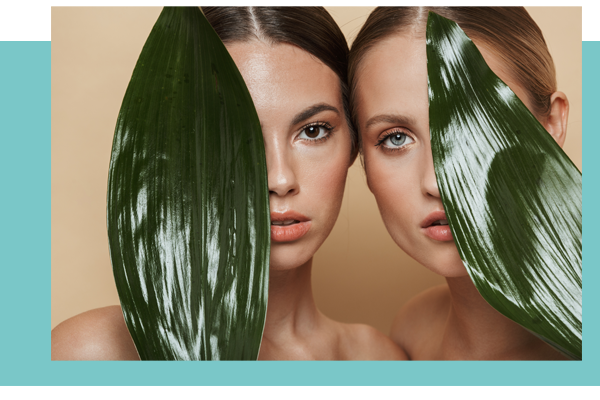 Header Vegan