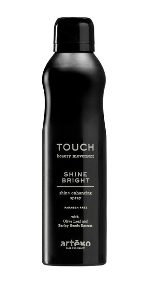Artego Touch - Shine Bright Glanzspray 250 ml