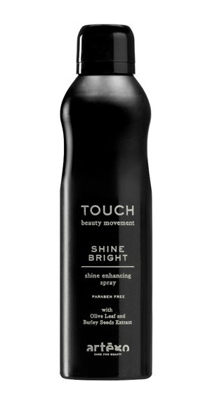 Artego Touch Shine Bright Glanzspray 250 ml