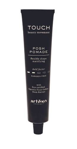 Artego Touch Posh Pomade 100 ml